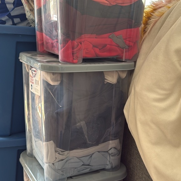 Figs - Picture 4 of 4